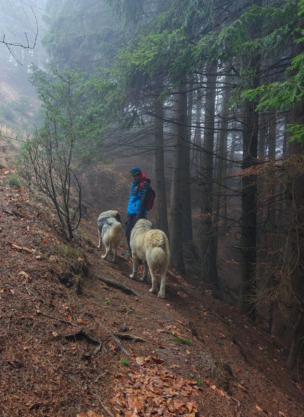 Omul de pe Omu. Povestea meteorologului care trăiește la peste 2.500 de metri, cu pisica Rodica și vulpea Foxy 1072638
