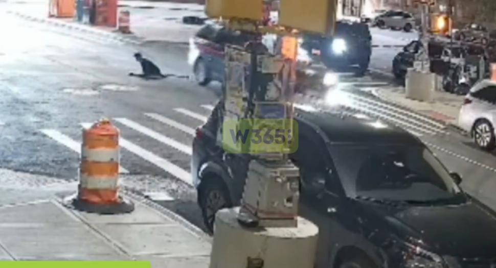 Misterul oamenilor care ies din canalizările New Yorkului. Imaginile care au dus la o anchetă a poliției și au declanșat teorii bizare 1073721
