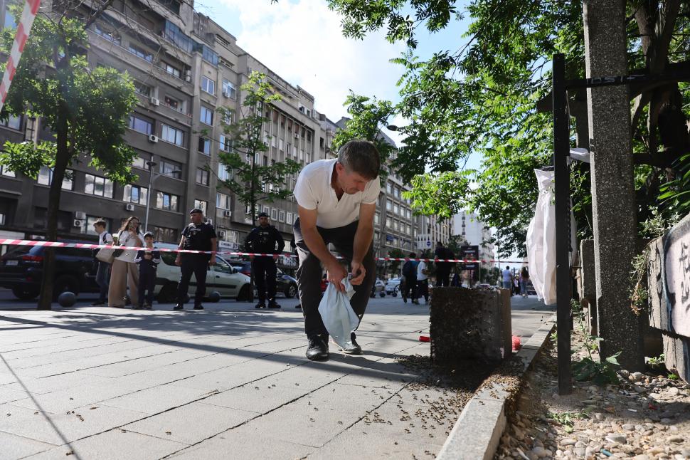 Un apicultor capturează un roi de albine de pe trotuar, la Piața Romană din București: Imagini cu „intervenția” de pe artera aglomerată 1073900