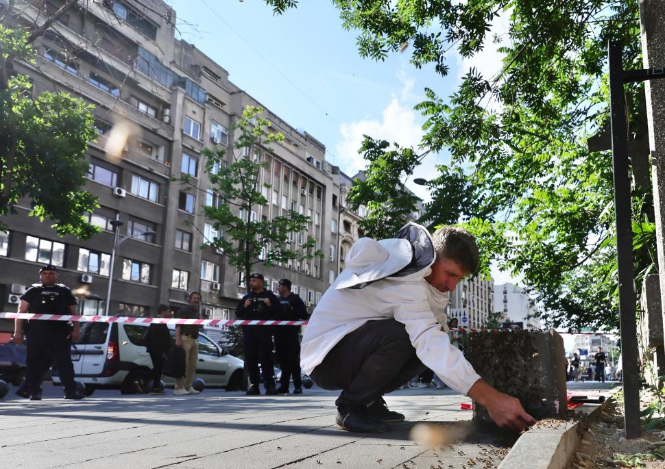 Un apicultor capturează un roi de albine de pe trotuar, la Piața Romană din București: Imagini cu „intervenția” de pe artera aglomerată 1073904
