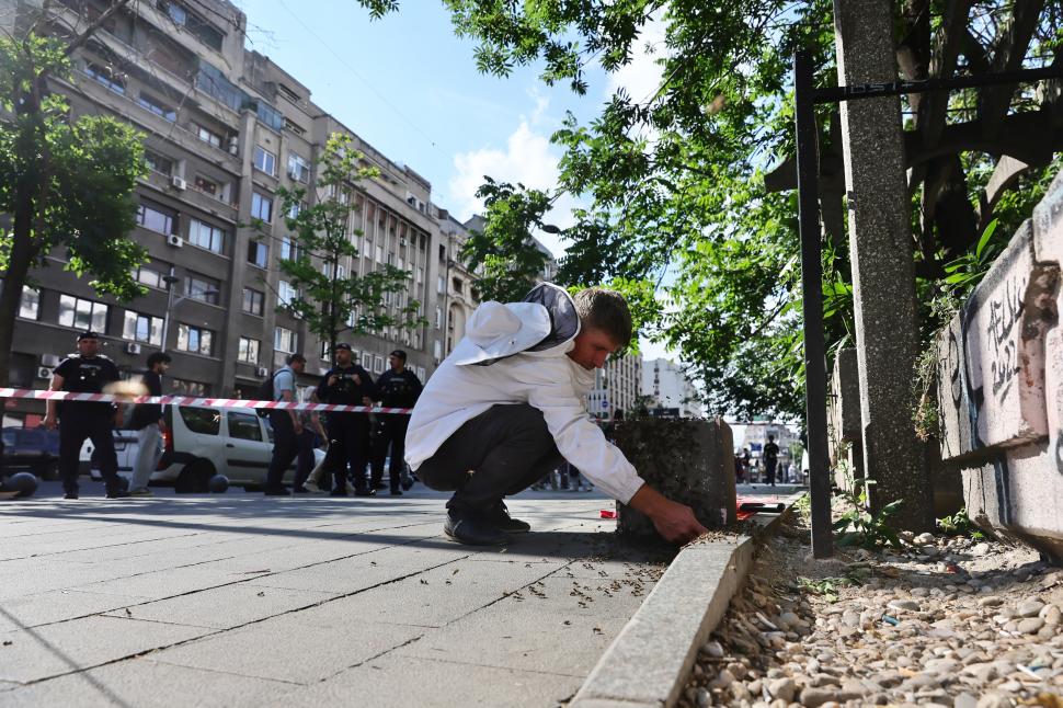 Un apicultor capturează un roi de albine de pe trotuar, la Piața Romană din București: Imagini cu „intervenția” de pe artera aglomerată 1073905
