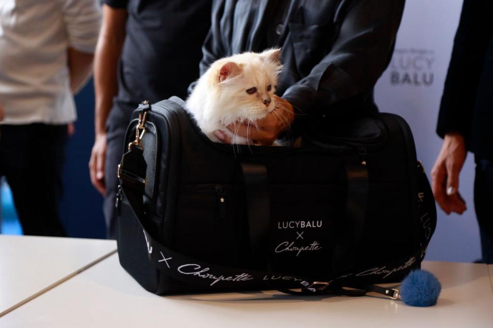 Pisica cu bodyguard, menajere și bucătar a lui Karl Lagerfeld n-a primit nici până acum vreun ban din moștenirea promisă  1074230