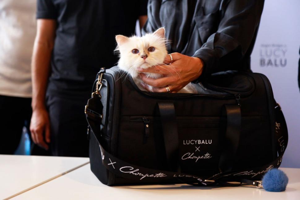 Pisica cu bodyguard, menajere și bucătar a lui Karl Lagerfeld n-a primit nici până acum vreun ban din moștenirea promisă  1074231
