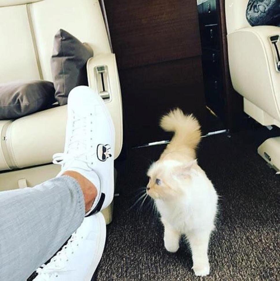 Pisica cu bodyguard, menajere și bucătar a lui Karl Lagerfeld n-a primit nici până acum vreun ban din moștenirea promisă  1074239
