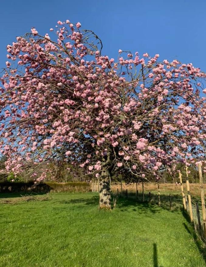 Insula care se închide o zi pe săptămână. Un paradis turistic din Europa a luat o decizie radicală pentru că are prea mulți vizitatori 1074748