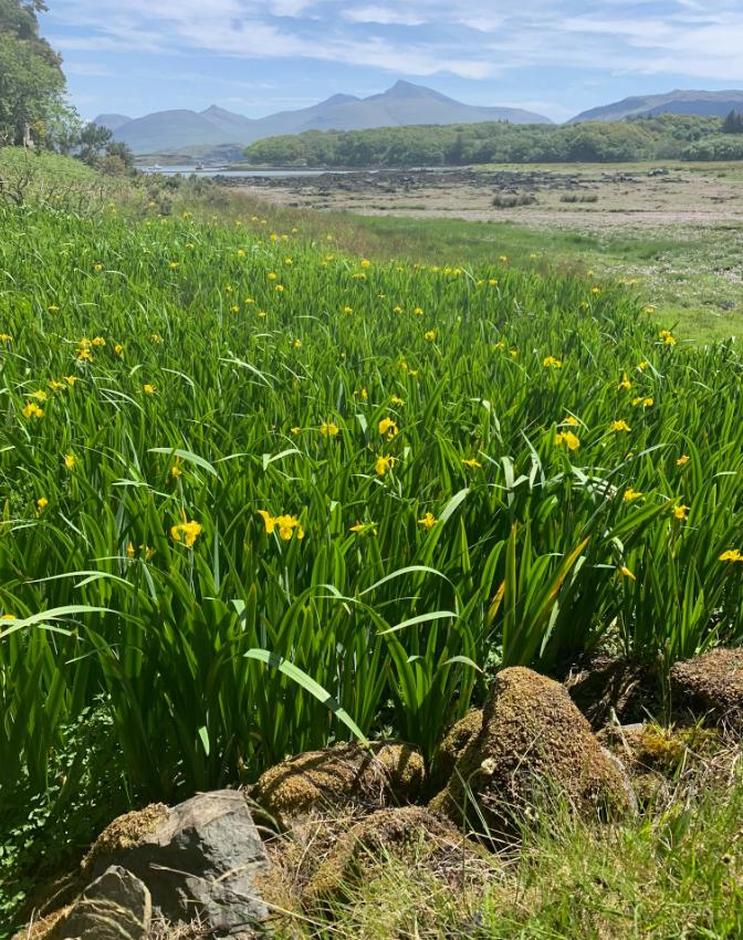 Insula care se închide o zi pe săptămână. Un paradis turistic din Europa a luat o decizie radicală pentru că are prea mulți vizitatori 1074749