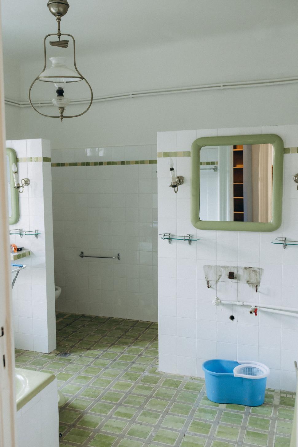 O vilă istorică din București, cu o poveste fascinantă, e virală după ce a fost umplută cu 1.000 de ghivece. Cum arată Casa Plantelor 1074838
