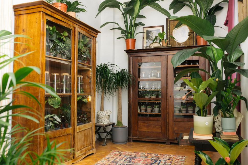 O vilă istorică din București, cu o poveste fascinantă, e virală după ce a fost umplută cu 1.000 de ghivece. Cum arată Casa Plantelor 1074846