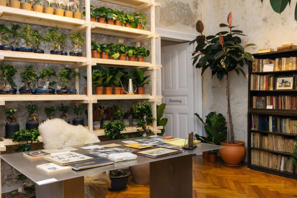 O vilă istorică din București, cu o poveste fascinantă, e virală după ce a fost umplută cu 1.000 de ghivece. Cum arată Casa Plantelor 1074847