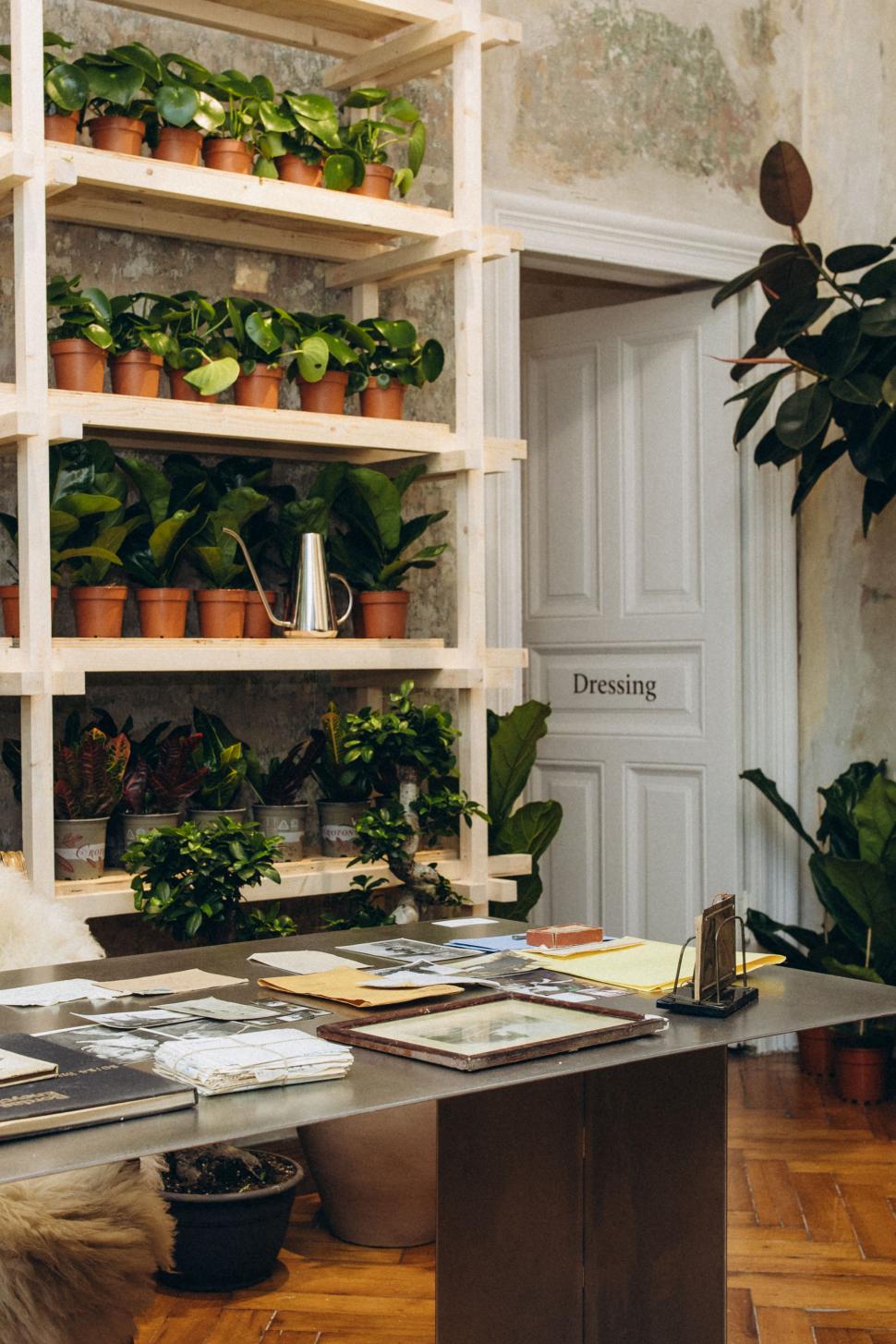 O vilă istorică din București, cu o poveste fascinantă, e virală după ce a fost umplută cu 1.000 de ghivece. Cum arată Casa Plantelor 1074848