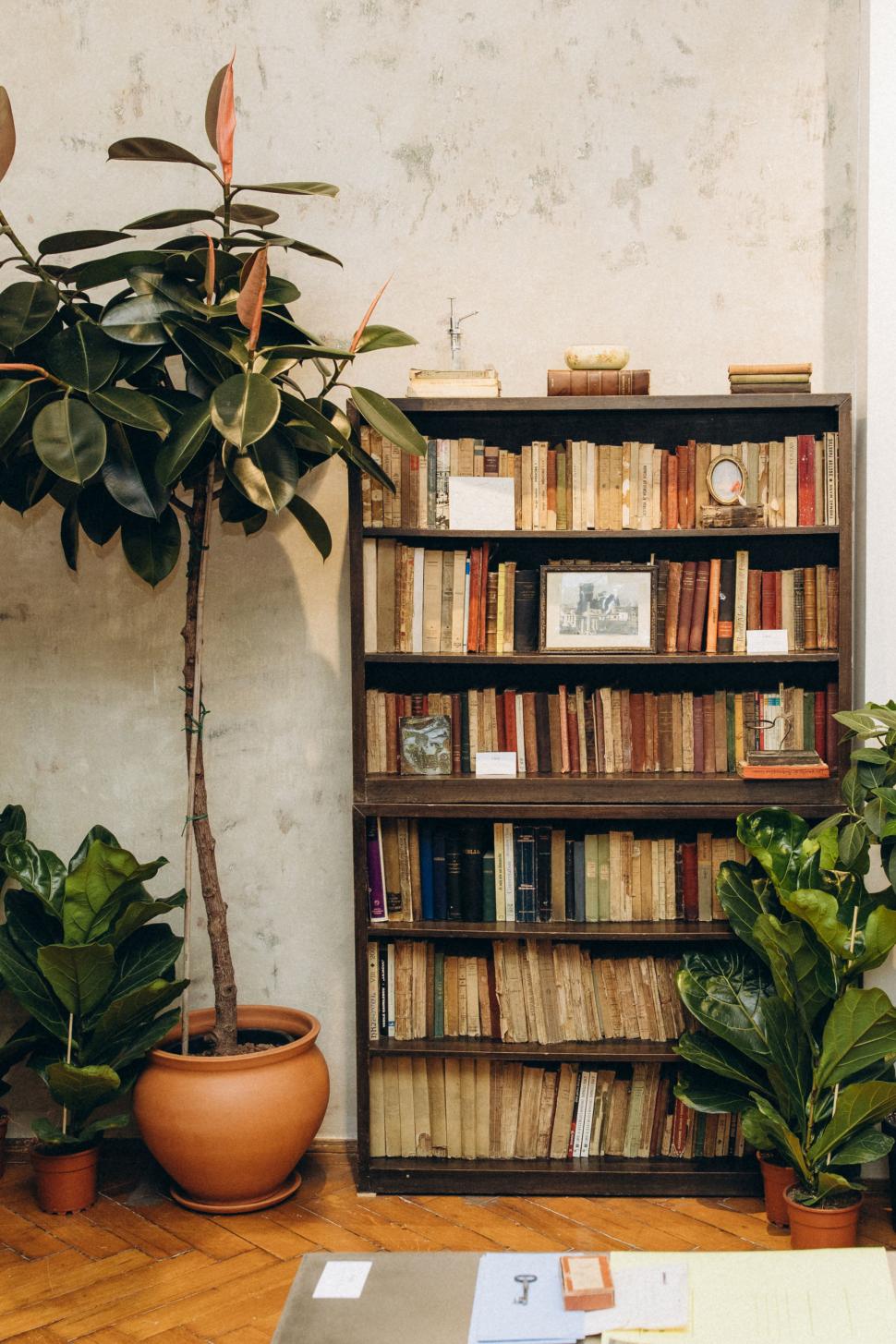 O vilă istorică din București, cu o poveste fascinantă, e virală după ce a fost umplută cu 1.000 de ghivece. Cum arată Casa Plantelor 1074849