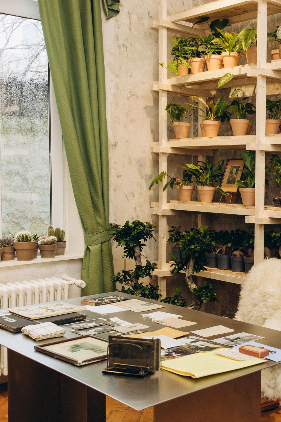 O vilă istorică din București, cu o poveste fascinantă, e virală după ce a fost umplută cu 1.000 de ghivece. Cum arată Casa Plantelor 1074851