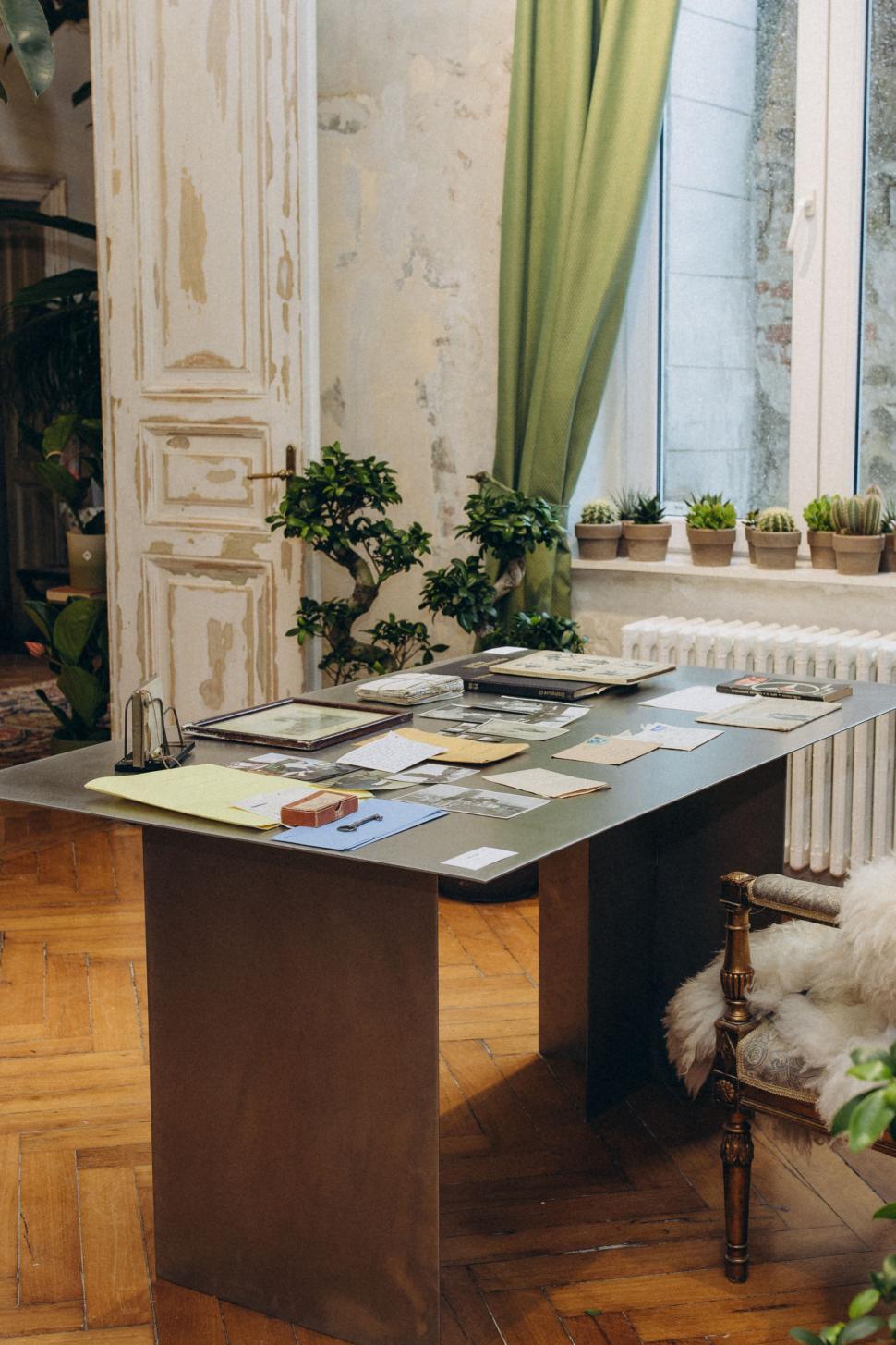 O vilă istorică din București, cu o poveste fascinantă, e virală după ce a fost umplută cu 1.000 de ghivece. Cum arată Casa Plantelor 1074854