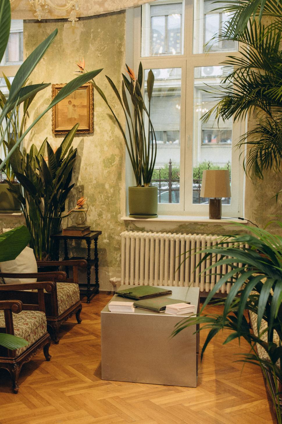 O vilă istorică din București, cu o poveste fascinantă, e virală după ce a fost umplută cu 1.000 de ghivece. Cum arată Casa Plantelor 1074856