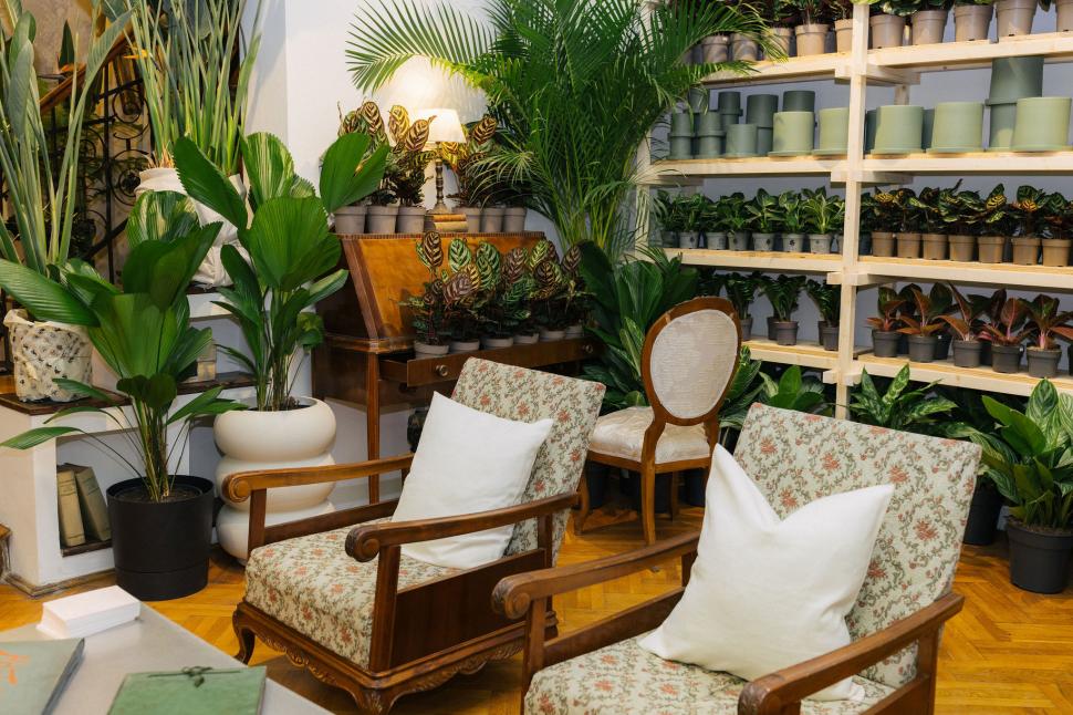 O vilă istorică din București, cu o poveste fascinantă, e virală după ce a fost umplută cu 1.000 de ghivece. Cum arată Casa Plantelor 1074857