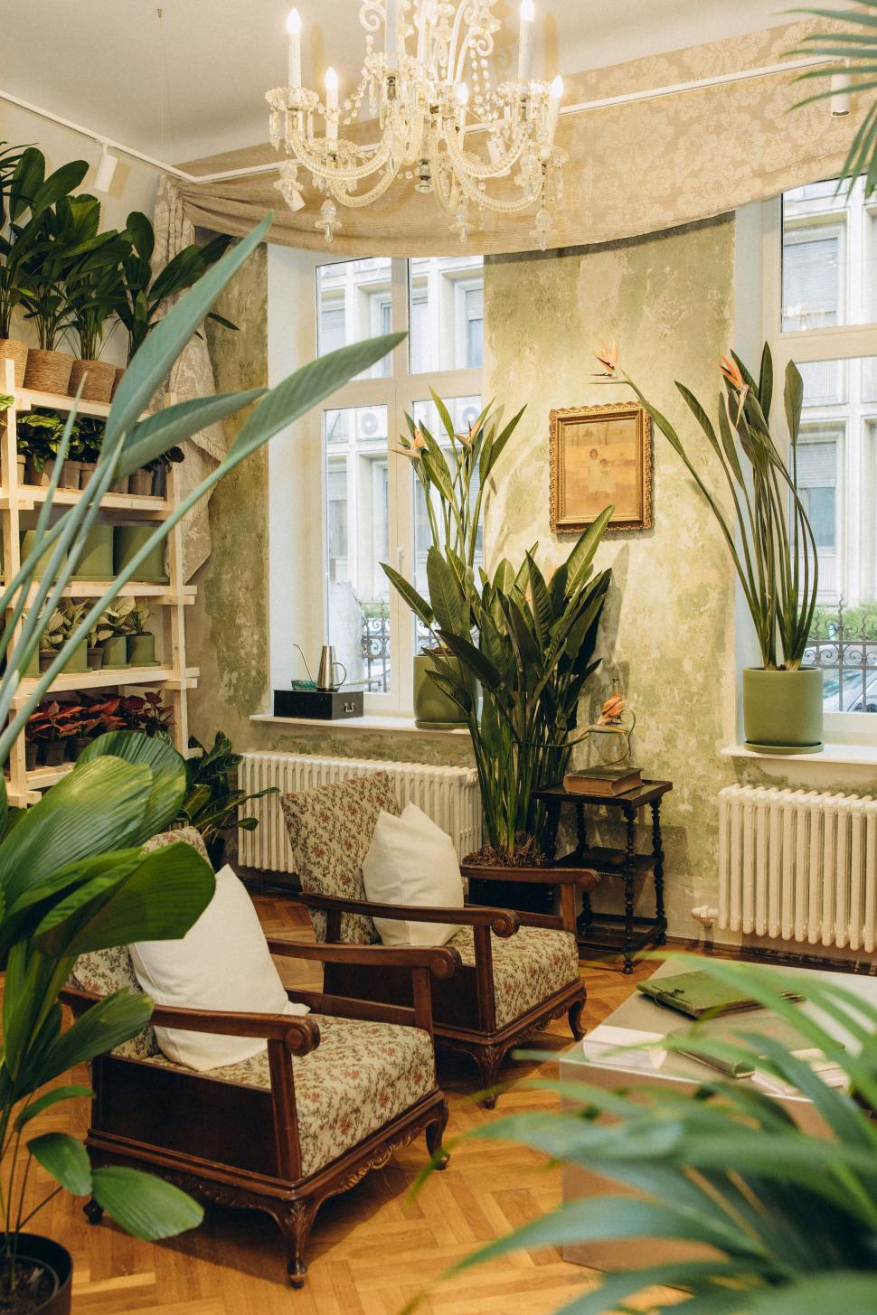 O vilă istorică din București, cu o poveste fascinantă, e virală după ce a fost umplută cu 1.000 de ghivece. Cum arată Casa Plantelor 1074862