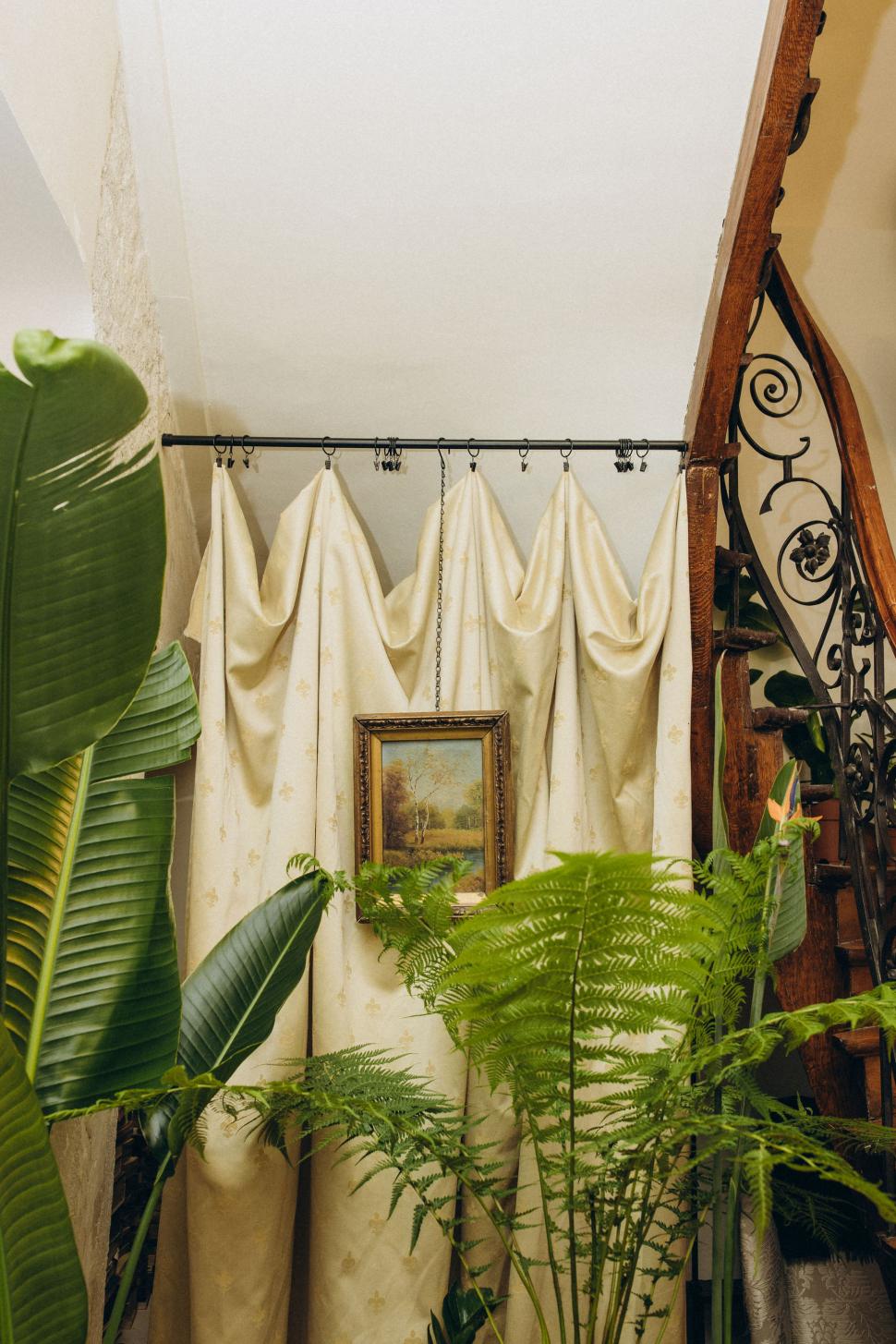 O vilă istorică din București, cu o poveste fascinantă, e virală după ce a fost umplută cu 1.000 de ghivece. Cum arată Casa Plantelor 1074864