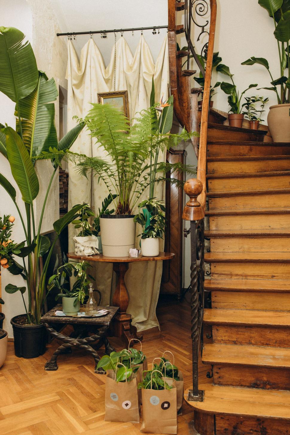 O vilă istorică din București, cu o poveste fascinantă, e virală după ce a fost umplută cu 1.000 de ghivece. Cum arată Casa Plantelor 1074865