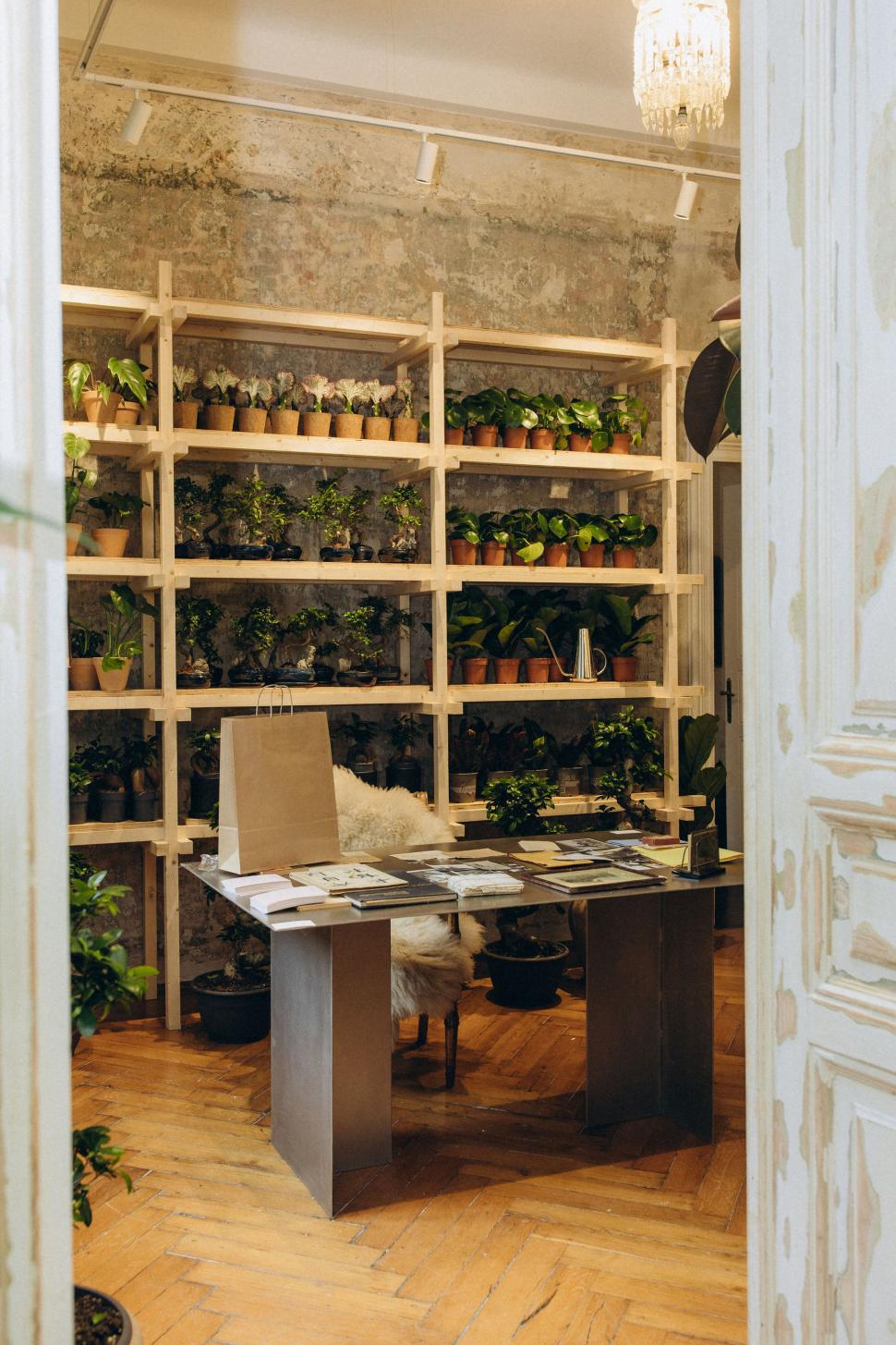 O vilă istorică din București, cu o poveste fascinantă, e virală după ce a fost umplută cu 1.000 de ghivece. Cum arată Casa Plantelor 1074866