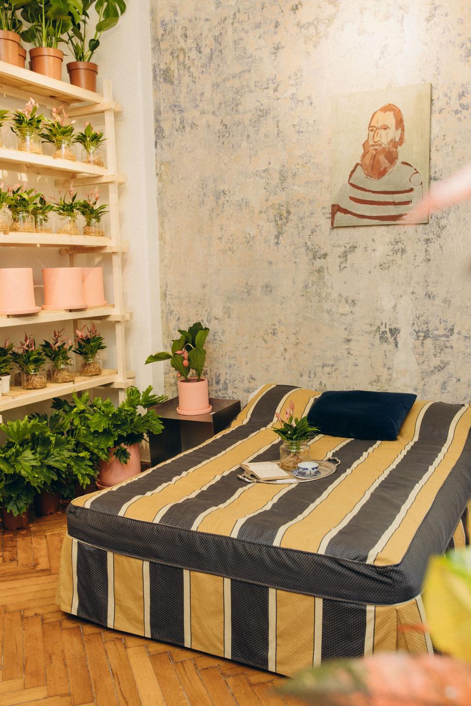 O vilă istorică din București, cu o poveste fascinantă, e virală după ce a fost umplută cu 1.000 de ghivece. Cum arată Casa Plantelor 1074867