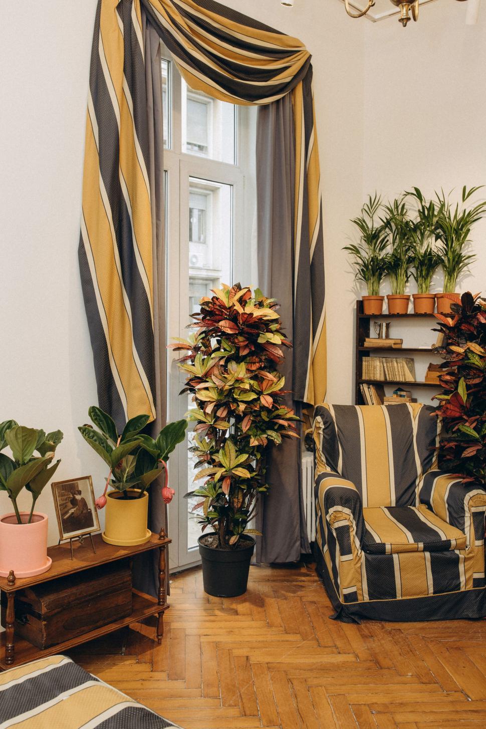 O vilă istorică din București, cu o poveste fascinantă, e virală după ce a fost umplută cu 1.000 de ghivece. Cum arată Casa Plantelor 1074870