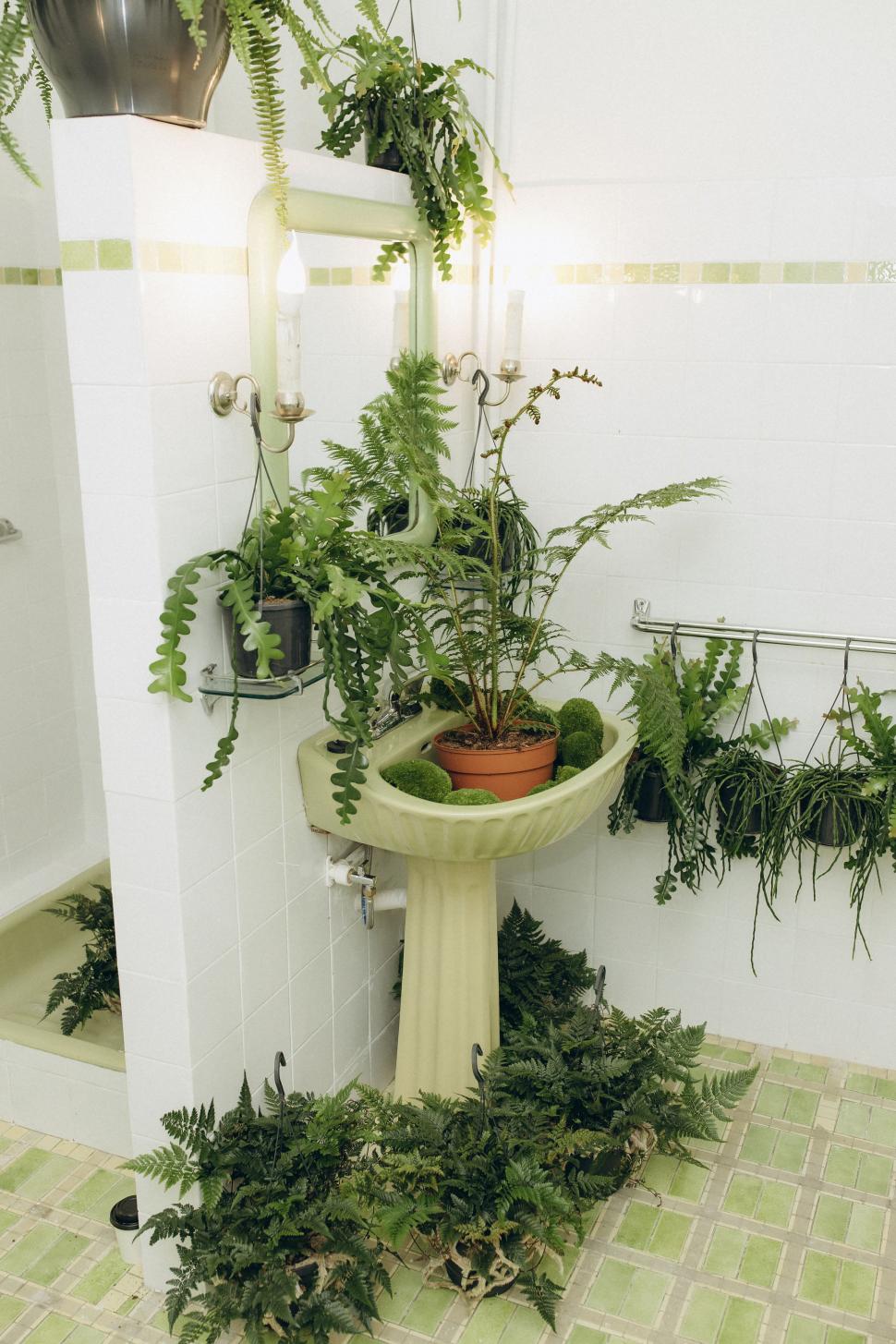 O vilă istorică din București, cu o poveste fascinantă, e virală după ce a fost umplută cu 1.000 de ghivece. Cum arată Casa Plantelor 1074873