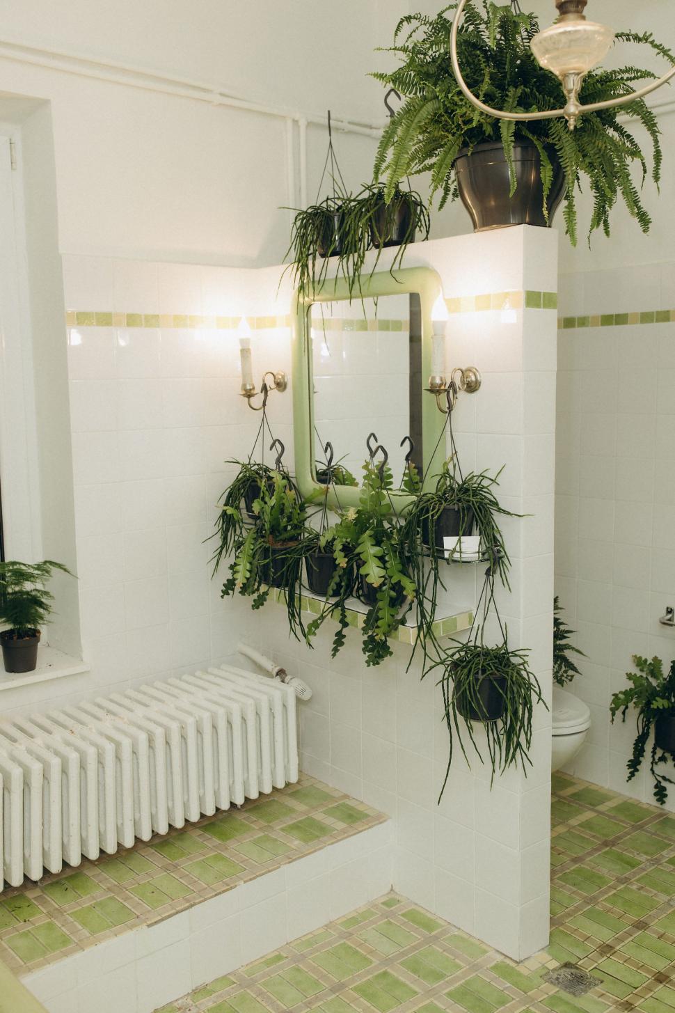 O vilă istorică din București, cu o poveste fascinantă, e virală după ce a fost umplută cu 1.000 de ghivece. Cum arată Casa Plantelor 1074874