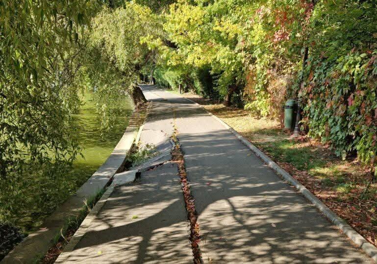 Ce a găsit Primăria Bucureștiului pe fundul Lacului Herăstrău: "Le vom sorta și elimina treptat" 1075298