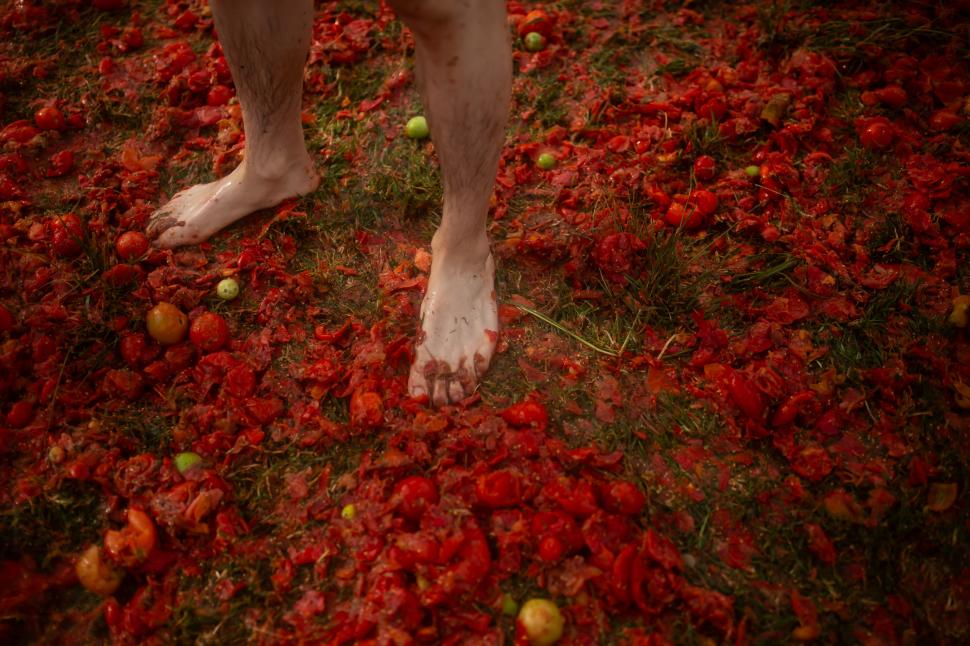 Marea bătaie cu roșii Tomatina din Columbia 2026: Imaginile distracției, cu zeci de mii de localnici și turiști împroșcați cu „bulion” 1075120