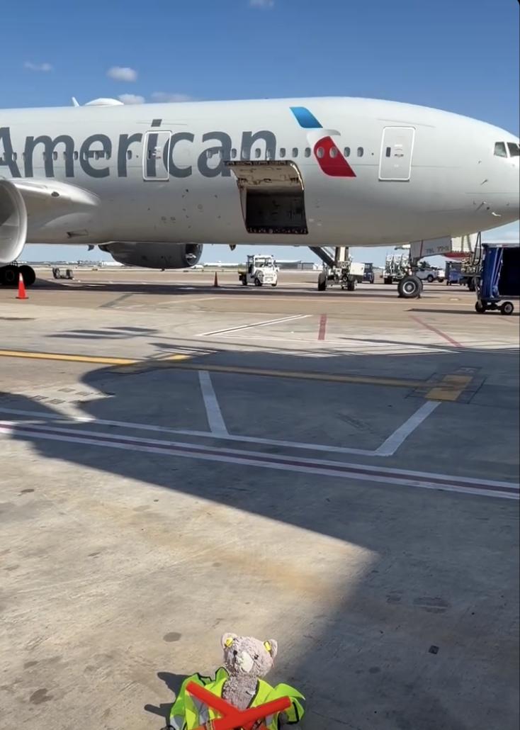 O companie aeriană a îngrijit ursulețul de pluș „Bobby” timp de o săptămână, pentru a-l reuni cu băiețelul de 4 ani care îl pierduse 1075596