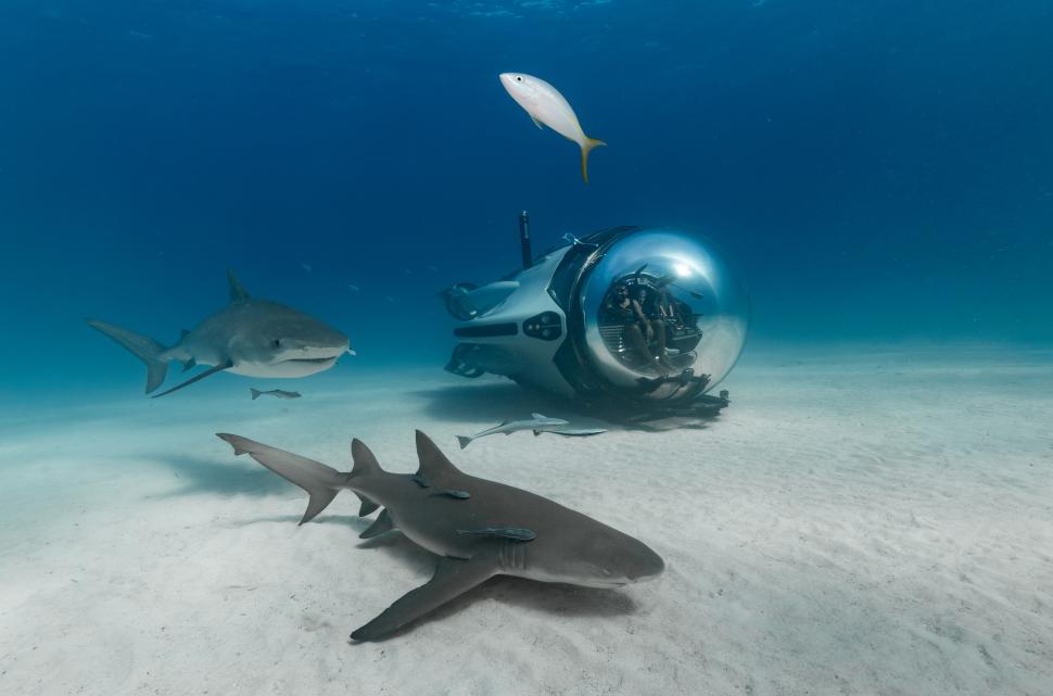 „Zbor subacvatic”: Cel mai rapid submersibil din lume a fost lansat în Caraibe. Cum arată vehiculul futurist de lux „Super Sub” 1076095