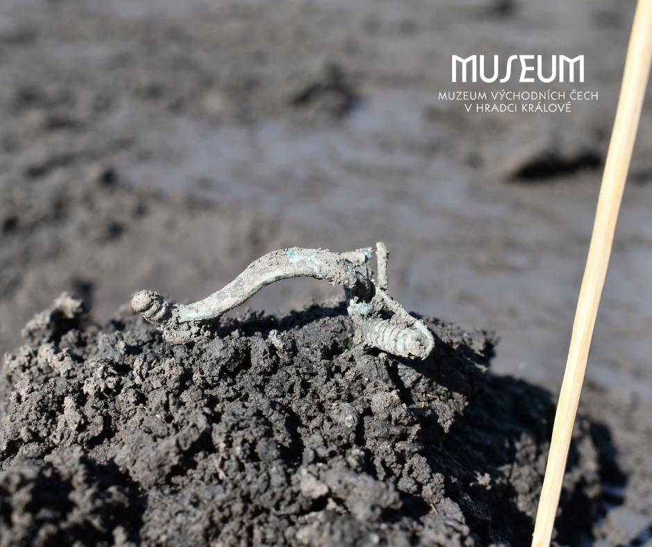 Câţiva muncitori au descoperit monede de aur și alte artefacte rare îngropate de secole sub traseul unei viitoare autostrăzi, în Cehia 1077130
