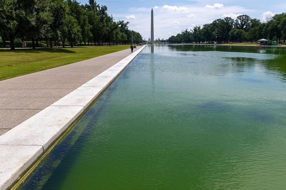 Trump s-a lăudat cu bazinul reflectorizant „albastru ca steagul american”, dar după renovarea de 14.000.000 de dolari s-a făcut verde 1077370
