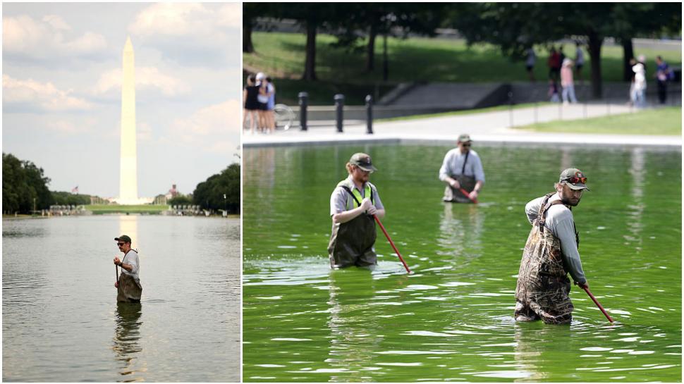 Trump s-a lăudat cu bazinul reflectorizant „albastru ca steagul american”, dar după renovarea de 14.000.000 de dolari s-a făcut verde 1077379