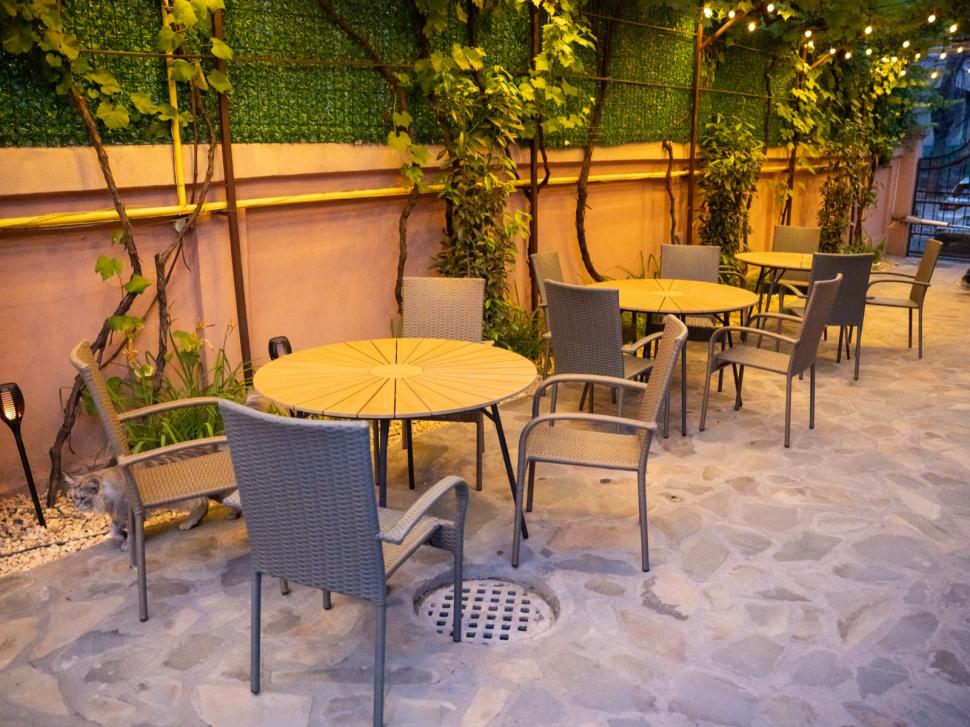 Prima cafenea cu pisici Maine Coon din România se deschide în București: Cum arată locul inedit cu „uriașe blânde” 1078472