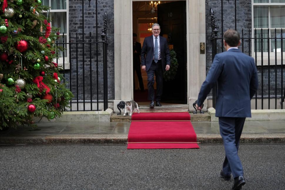 Adevăratul deținător al cheilor de la Downing Street 10. Larry a rezistat mai mult decât șase premieri, îl așteaptă pe al șaptelea 1078929
