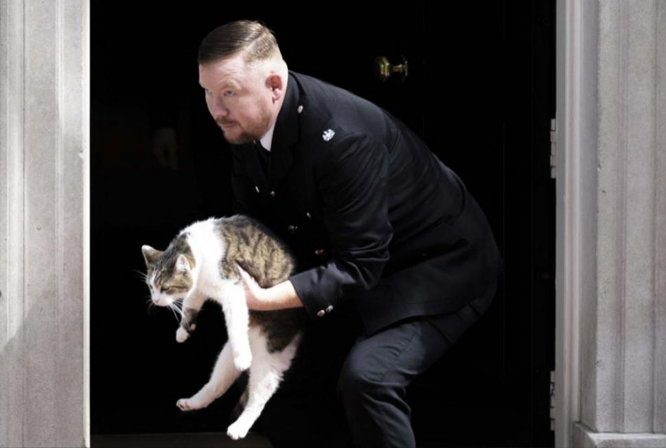 Adevăratul deținător al cheilor de la Downing Street 10. Larry a rezistat mai mult decât șase premieri, îl așteaptă pe al șaptelea 1078933