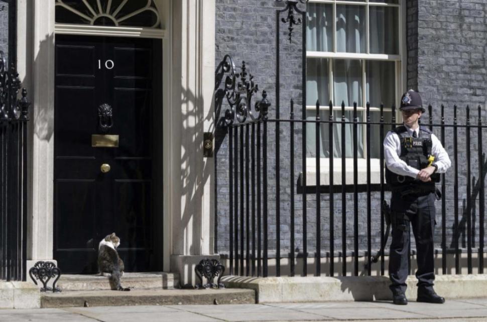 Adevăratul deținător al cheilor de la Downing Street 10. Larry a rezistat mai mult decât șase premieri, îl așteaptă pe al șaptelea 1078936