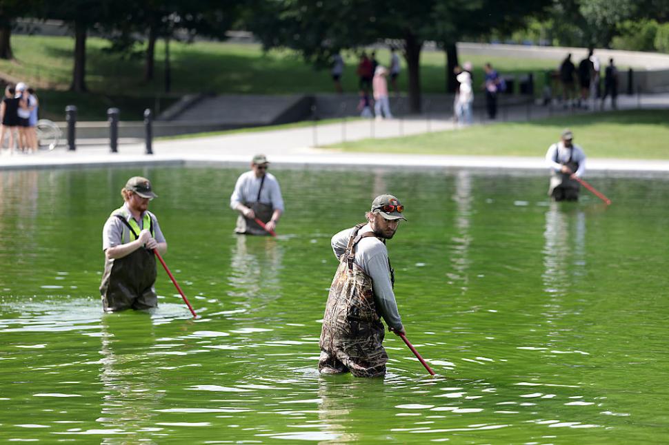 Bazinul reflectorizant din Washington va fi golit, după ce apa a devenit verde din cauza algelor. Trump acuză şi acte de vandalism 1079095