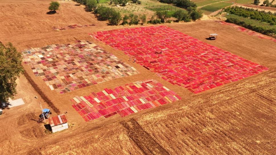 Spectacol colorat surprins din aer: Mii de covoare și kilimuri din Anatolia sunt întinse la soare pe câmp. Se țes de mână de un mileniu 1079934
