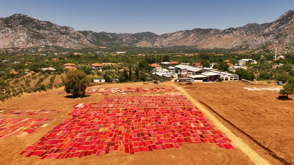 Spectacol colorat surprins din aer: Mii de covoare și kilimuri din Anatolia sunt întinse la soare pe câmp. Se țes de mână de un mileniu 1079938