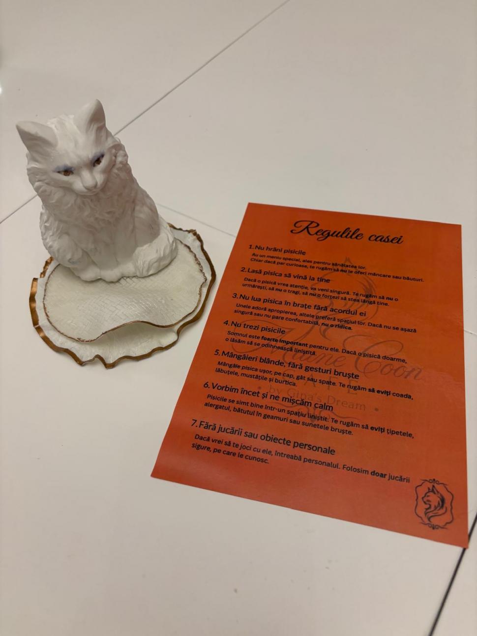 Am fost la singura cafenea cu pisici Maine Coon din România. Tocmai s-a deschis în București: Cum ajungi, reguli și prețurile din meniu 1080460