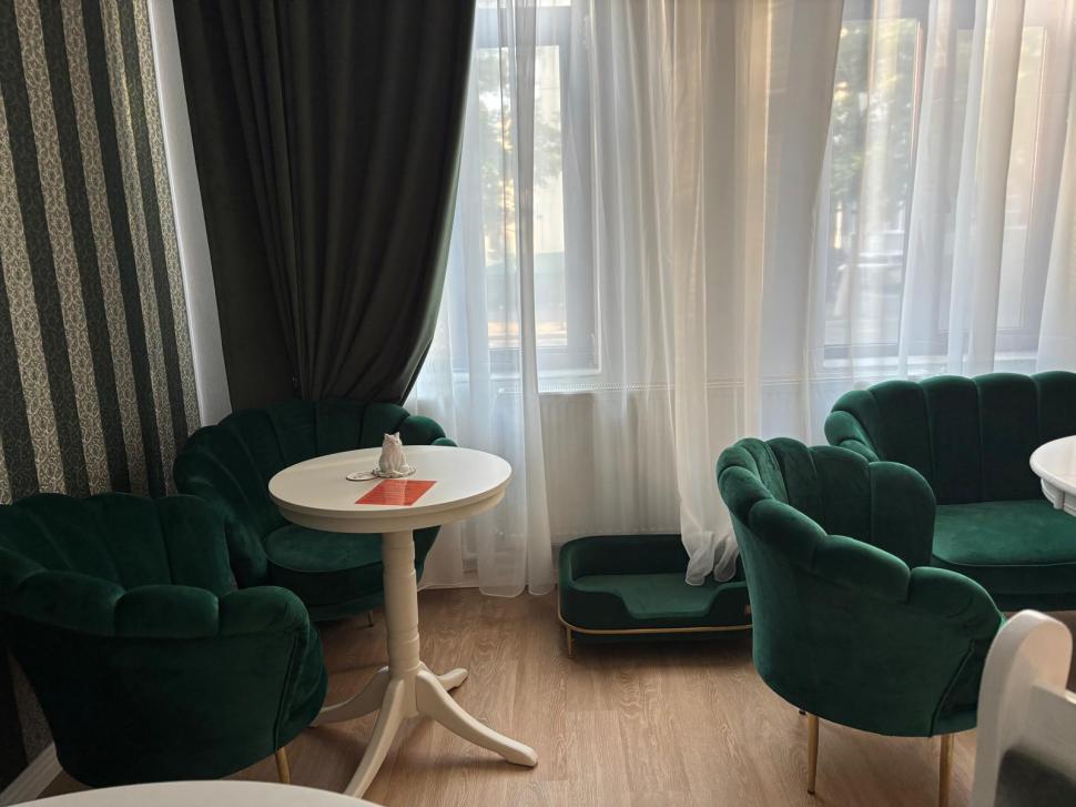 Am fost la singura cafenea cu pisici Maine Coon din România. Tocmai s-a deschis în București: Cum ajungi, reguli și prețurile din meniu 1080476