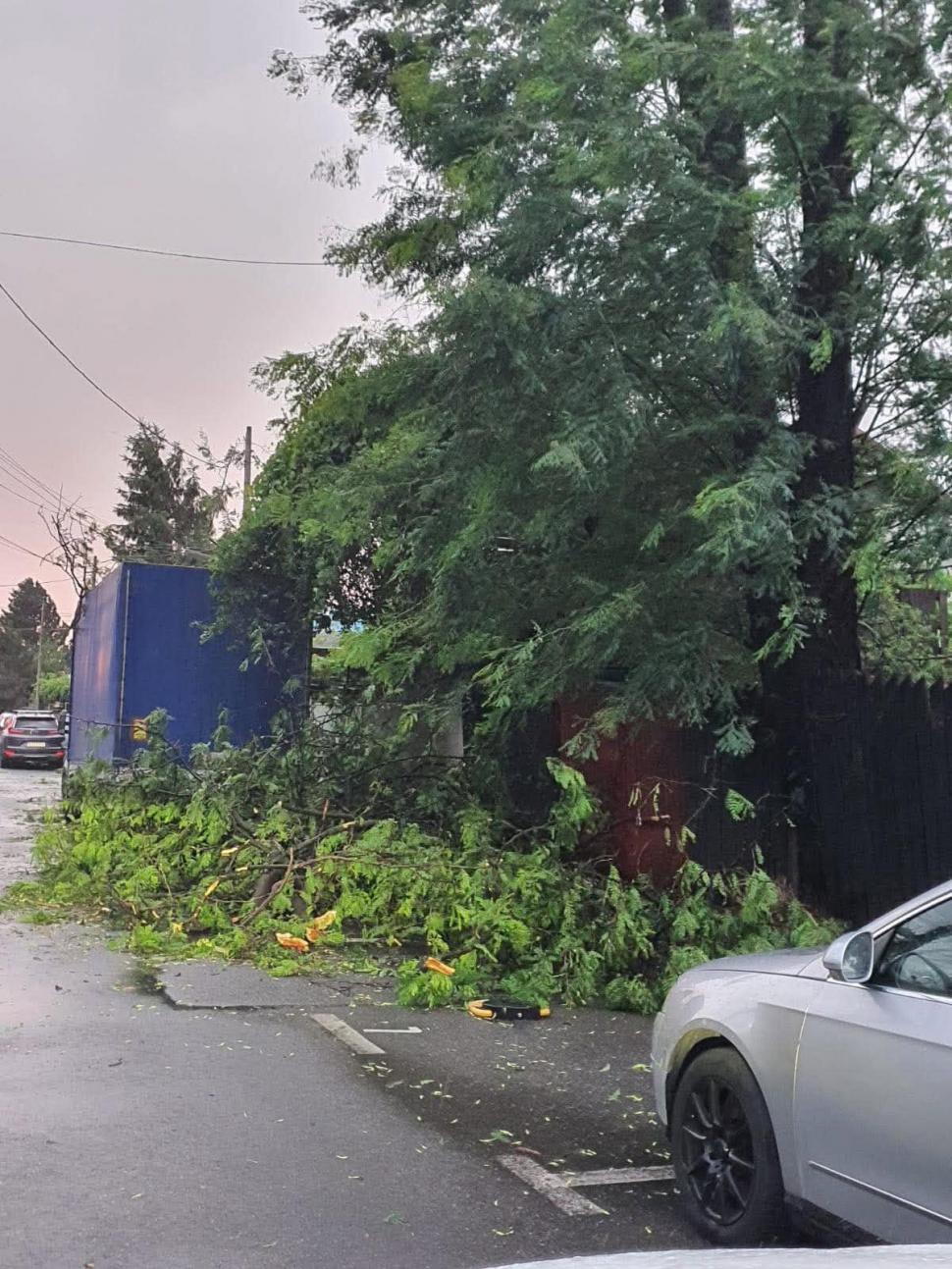 Un nou cod portocaliu de furtună în București, a fost emis și RO-Alert. Vijeliile puternice au rupt copaci, un bărbat a murit 1081146