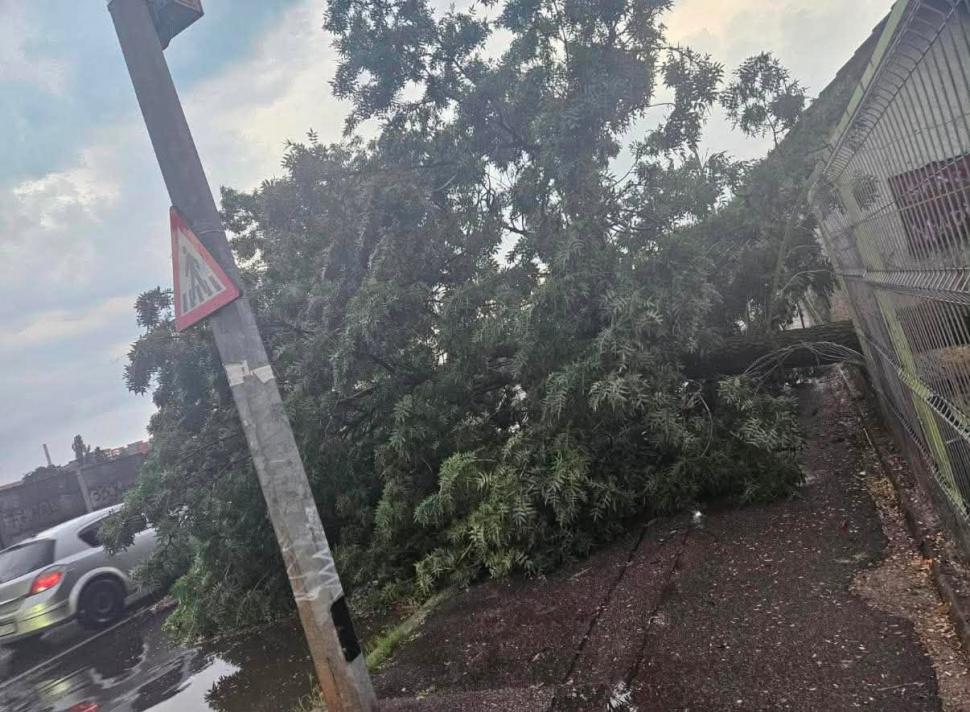 Un nou cod portocaliu de furtună în București, a fost emis și RO-Alert. Vijeliile puternice au rupt copaci, un bărbat a murit 1081147
