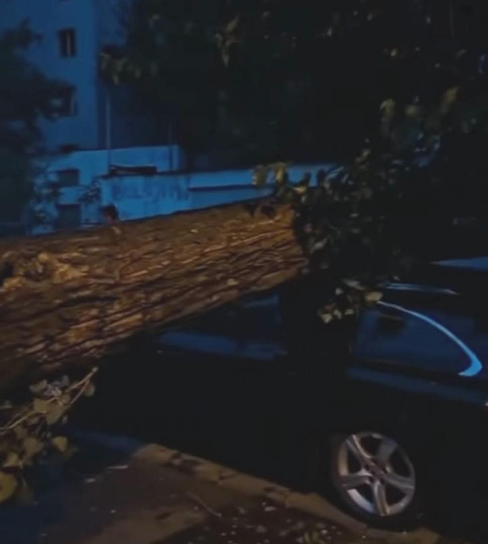 Un nou cod portocaliu de furtună în București, a fost emis și RO-Alert. Vijeliile puternice au rupt copaci, un bărbat a murit 1081177
