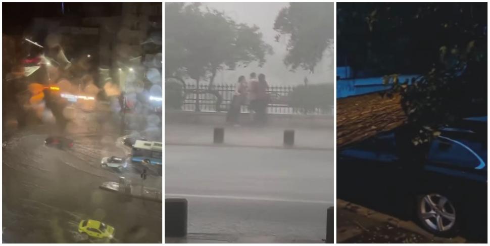 Cod roșu de furtună în București. Vijelia a rupt copaci, mai multe bulevarde au fost inundate. Un bărbat a murit în Ilfov 1081186
