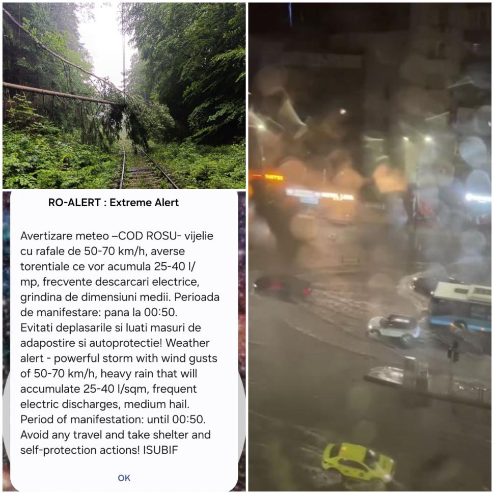 Cod roșu de furtună în București. Vijelia a rupt copaci, mai multe bulevarde au fost inundate. Un bărbat a murit în Ilfov 1081188