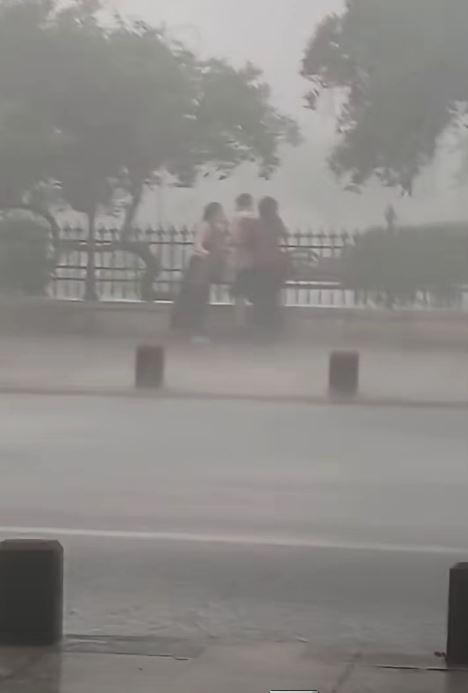 Cod roșu de furtună în București. Vijelia a rupt copaci, mai multe bulevarde au fost inundate. Un bărbat a murit în Ilfov 1081189