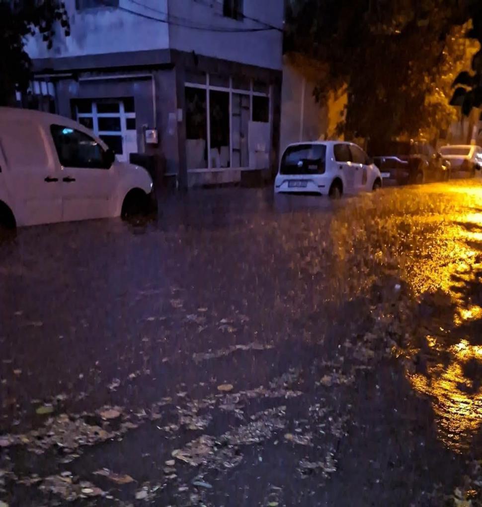 Cod roșu de furtună în București. Vijelia a rupt copaci, mai multe bulevarde au fost inundate. Un bărbat a murit în Ilfov 1081211